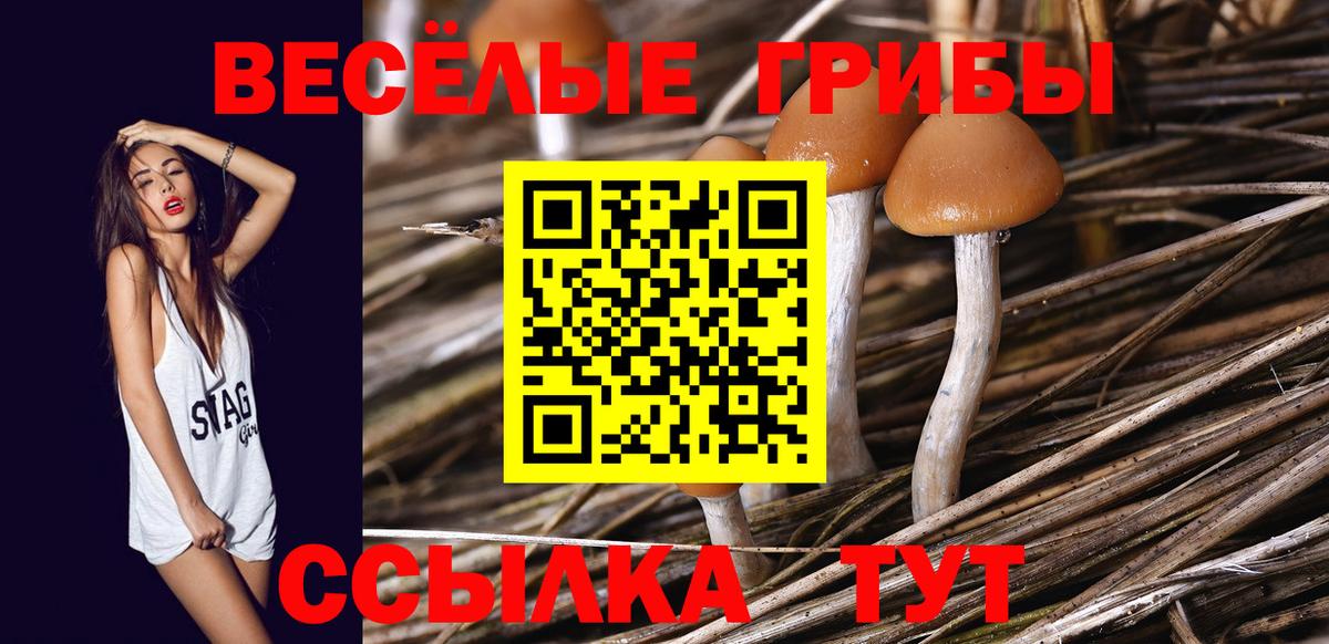 Псилоцибиновые грибы Magic Shrooms Рассказово