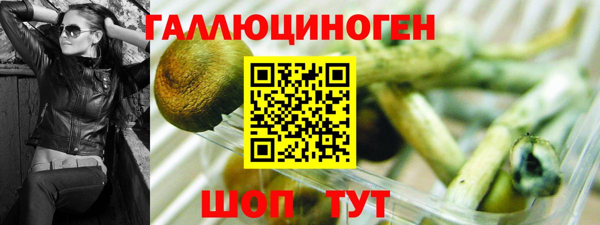Галлюциногенные грибы MAGIC MUSHROOMS  Вход с VPN  Рассказово 